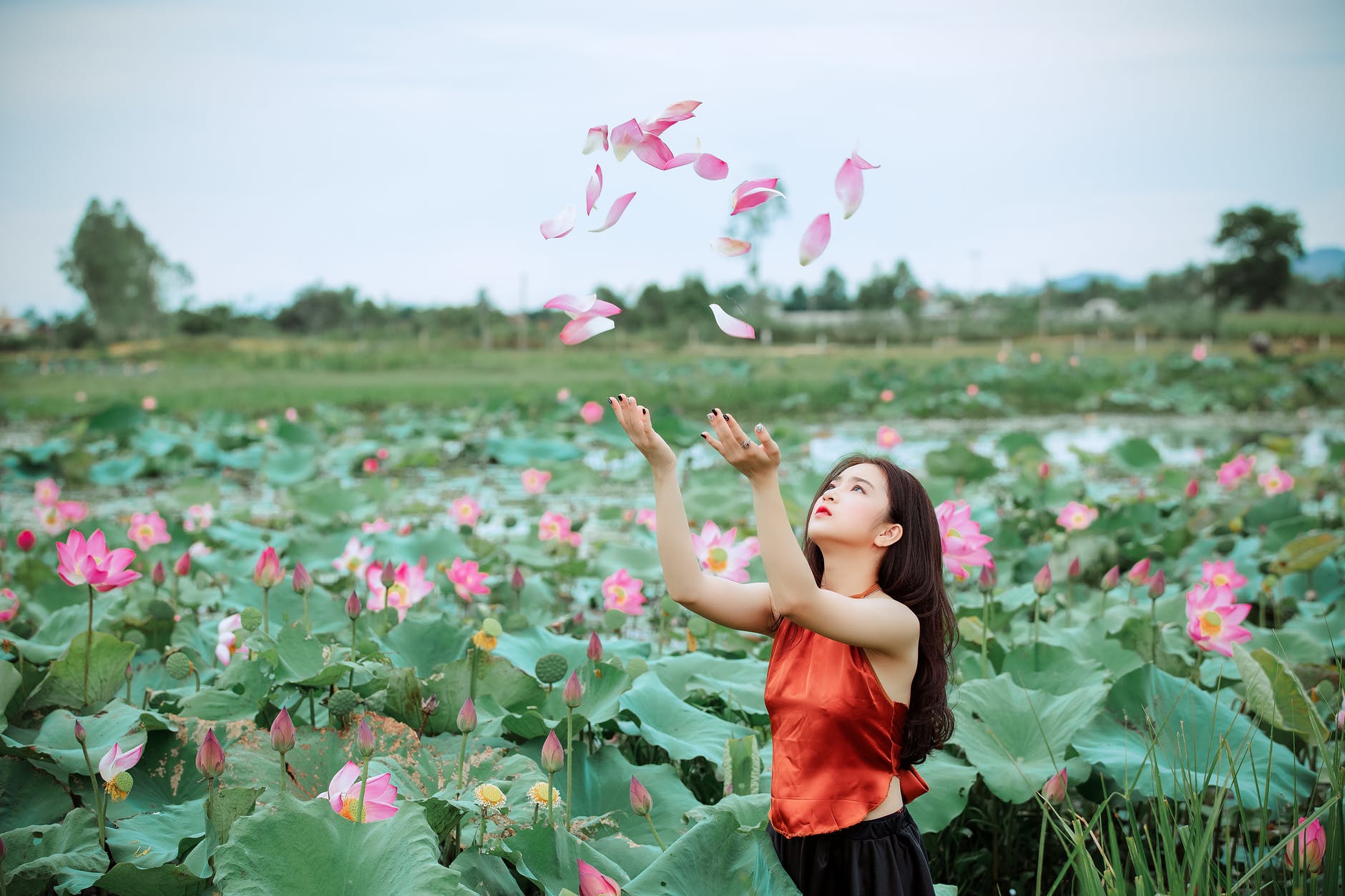 woman throwing pink petals